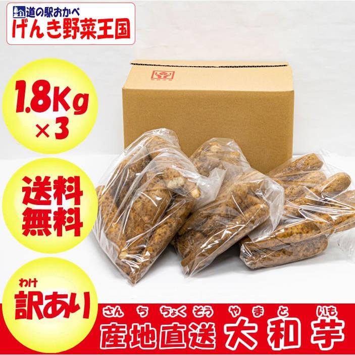 ヤマトイモ 5.4Kg B品 訳あり