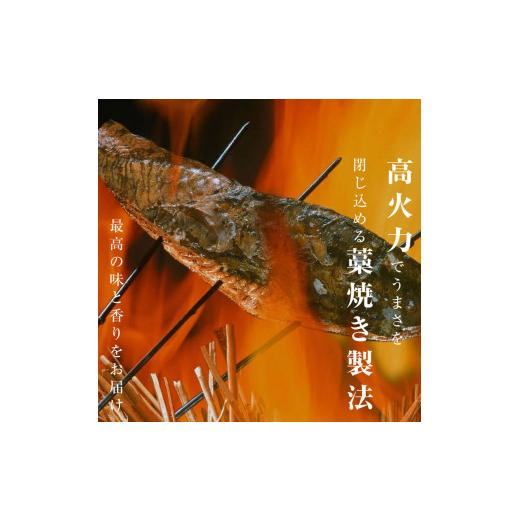 ふるさと納税 高知県 土佐市 訳あり 藁焼き鰹タタキ 2節400g 小分け 鰹タタキ かつおのたたき カツオのタタキ カツオのたたき 訳アリ わけあり 訳 高知 土佐 …