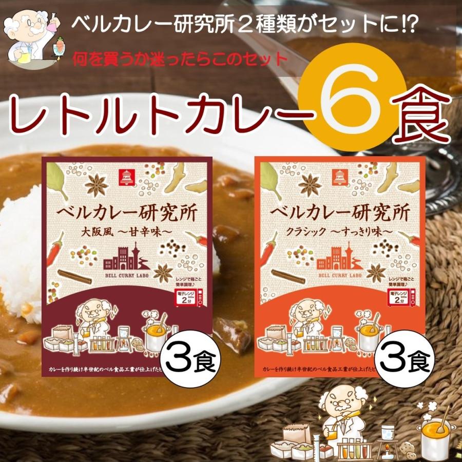 レトルトカレー 2種 6食 詰め合わせ ビーフ カレー カレー研究所 ベル食品工業  電子レンジ対応 プレゼント お取り寄せ ギフト 景品 2023