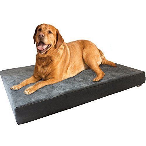 Dogbed4less heavy 2025 duty