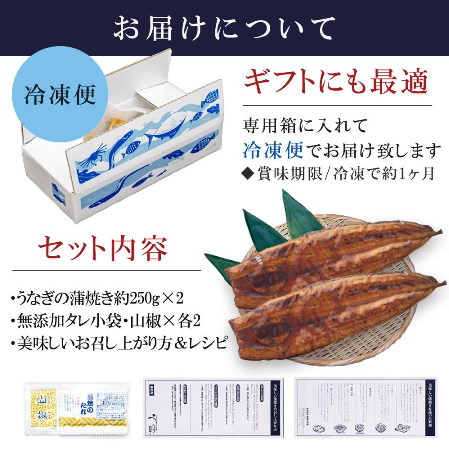 うなぎ 超特大 国産 蒲焼き 鰻 開き お取り寄せ ギフト お歳暮 2023 冬ギフト プレゼント 贈り物 美味しい タレ 鹿児島 お得 250g 2尾