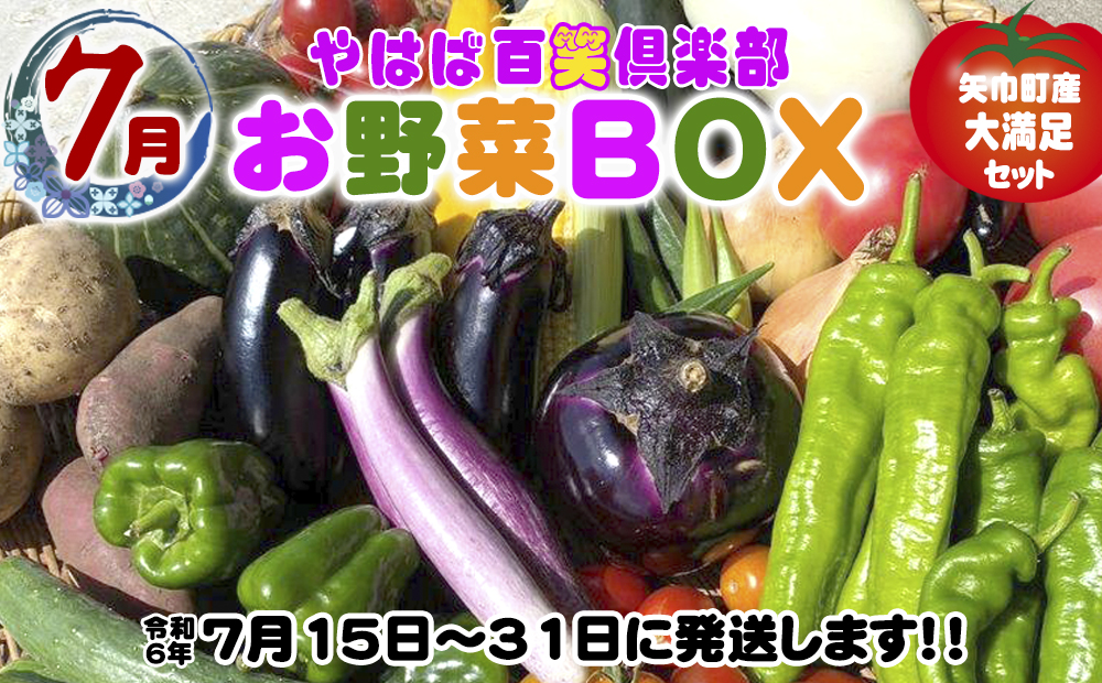 数量限定　矢巾町産　夏野菜セット7月発送