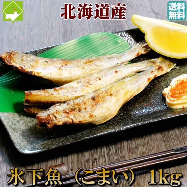 こまい 一夜干し 生干し 北海道産 1kg 送料無料 氷下魚（こまい） 別途送料が発生する地域あり