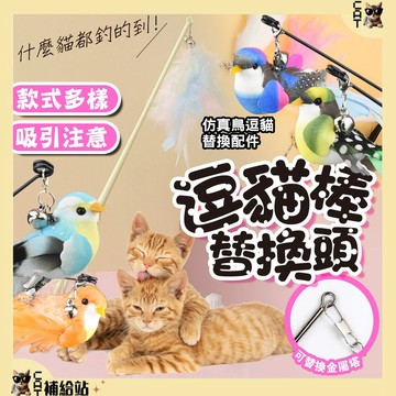 彩色羽毛逗貓棒 多種款式逗貓配件【⭐領券再享全館9折優惠⭐】  逗貓玩具  貓咪玩具 貓玩具配件【CAT補給站】