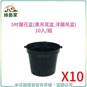 【綠藝家】5吋蘭花盆(黑吊耳盆.洋蘭吊盆)10入/組