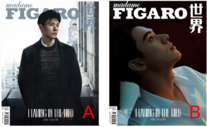 雑誌  Madame FIGARO 費加羅世界雜志 2023年8月 中国版　[龍 共]俊（ゴン・ジュン）：表紙2種類ランダム発送！記事