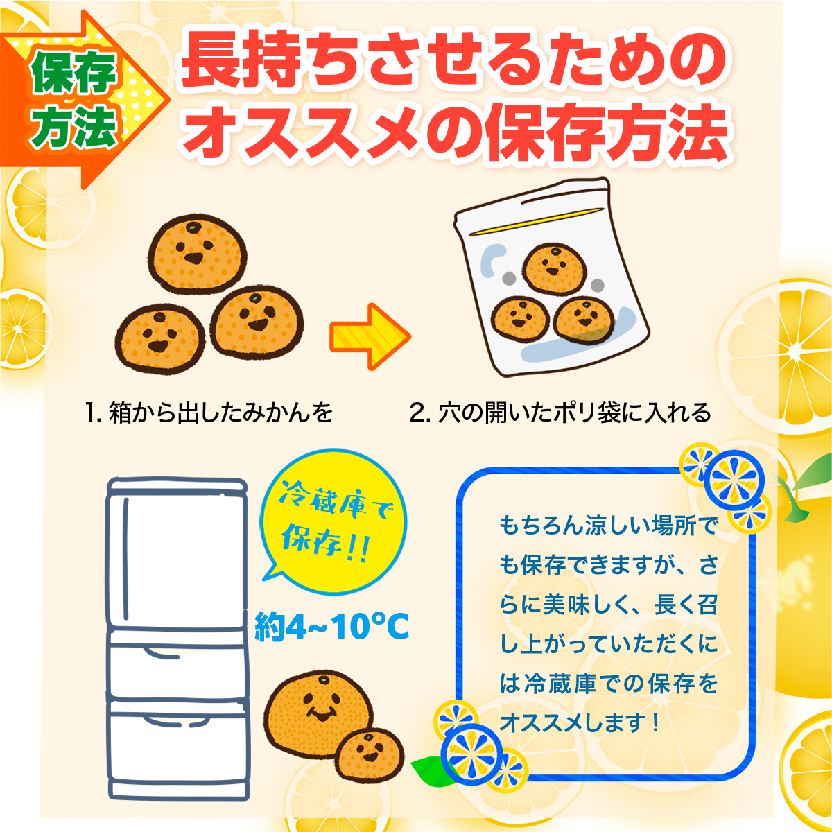 みかん 温州みかん 訳あり 熊本産 10kg 9kg＋1kg補償付き S-3L サイズ不選別 家庭用 完熟 常温便