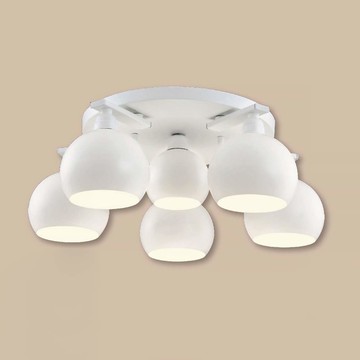 E27燈罩式吸頂五燈 B106-48-92681