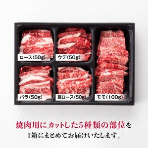 ※令和6年2月より順次発送※黒毛和牛5種盛り 焼肉セット（数量限定）300g 