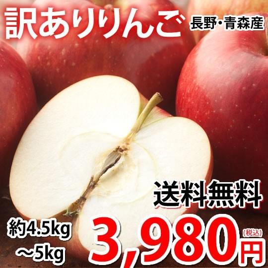 りんご 訳あり 約5kg（4.5〜5kg） リンゴ 送料無料 長野・青森県産 お取り寄せ サンふじ つがる ジョナゴールド ふじ 林檎 フルーツ