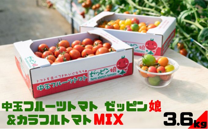 中玉フルーツトマト「ゼッピン娘」＆カラフルトマトMIX 1.8kg×各1箱（計3.6kg） 希少な品種 華おとめ 甘い カラフル 詰め合わせ 食べくらべ 個性豊か