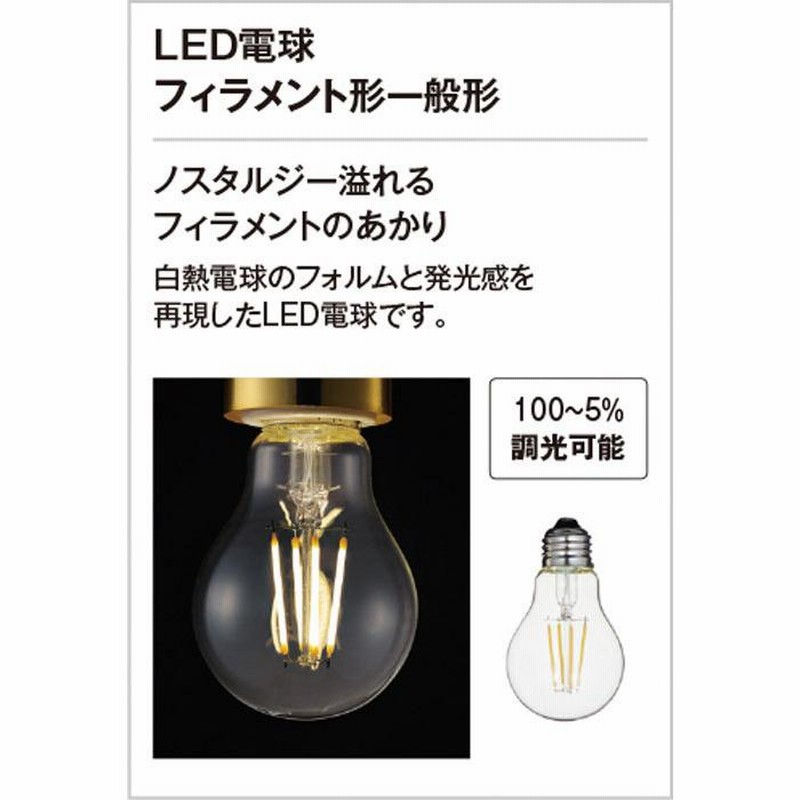 ODELIC オーデリック LEDポーチライト(別売人検知カメラ対応・別売センサー対応) OG041602LC1 - 4