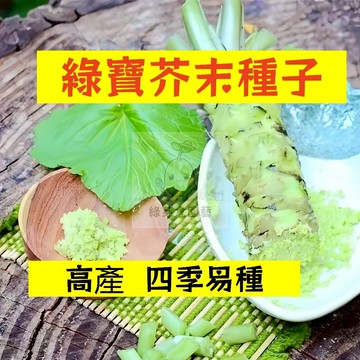 🌱早熟高產 綠寶芥末種植JM-7 適應力強 山葵 辣根 生長勢強 驅寒 四季可播種 田園庭院盆栽調味蔬菜種子