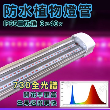 【君沛】防水 3呎 40W 植物燈 730全光譜 三防燈 LED植物生長燈 溫室 植物工廠 陽台補光 誘導開花