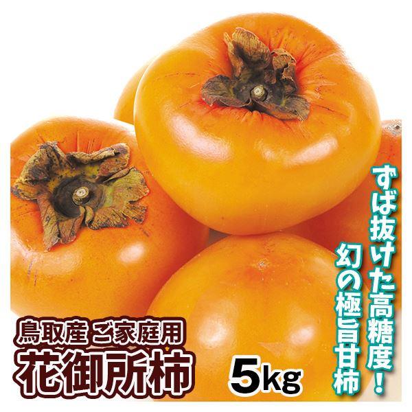 柿 5kg 花御所柿 鳥取産 ご家庭用 送料無料 食品