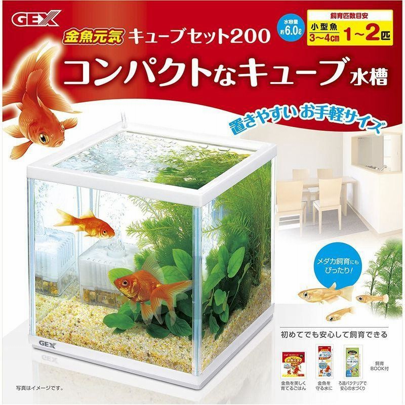 ジェックス 金魚元気 キューブセット0 通販 Lineポイント最大0 5 Get Lineショッピング