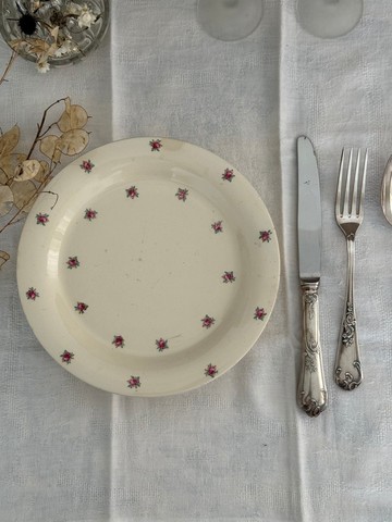 40658-迷人法國古董LONGWY 花繪高腳盤