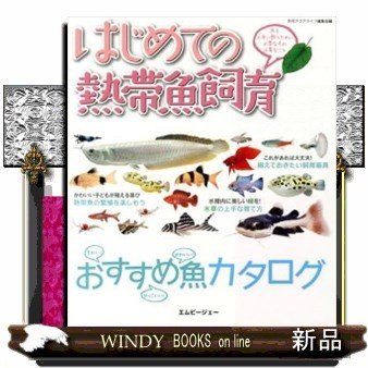 はじめての熱帯魚飼育魚を上手に飼うために必要なもの必要な