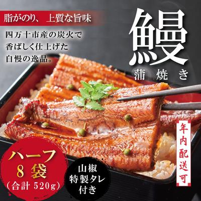 ふるさと納税 四万十市 うなぎ蒲焼　ハーフ8袋 DEE