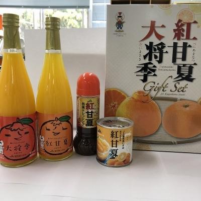 ふるさと納税 阿久根市 大将季・紅甘夏ジュース　缶詰ドレッシングセット(阿久根市)