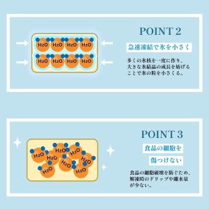 天然 本まぐろ ネギトロ　海の宝石 ちりめん海鮮丼本マグロ 2袋   解凍レシピ付 FCAW008