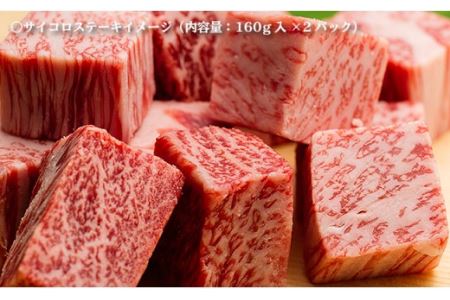 A5ランク ヒレステーキ サイコロステーキ ハンバーグ 総量1kg 1330g セット 長崎和牛 [NA58] 父の日