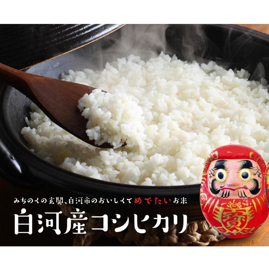 新米 米 お米 10kg 白河産コシヒカリ 送料無料 福島県産 5kg×2袋 令和5年度 10キロ 5キロ 白米 精米