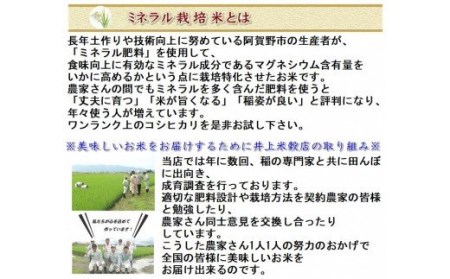 12ヶ月定期便 ミネラル栽培こしひかり 5kg×12回 計60kg 白米 精米 井上米穀店 1I04088