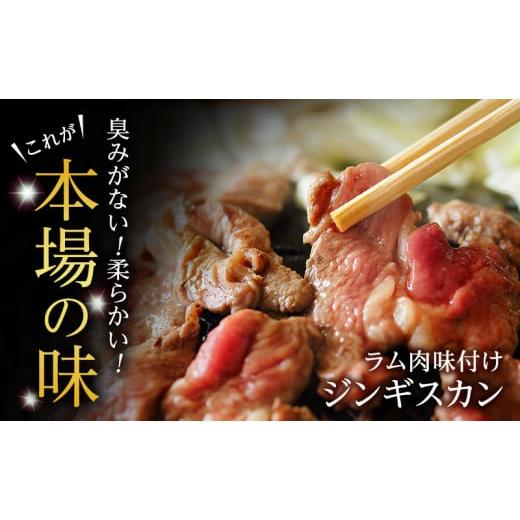 ふるさと納税 北海道 標茶町 ラム肉 味付け ジンギスカン500g×2パック