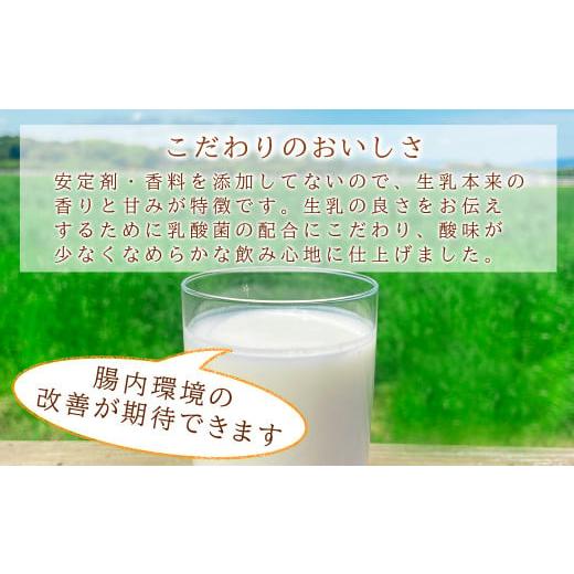 ふるさと納税 熊本県 あさぎり町 球磨の恵み「のむヨーグルト」砂糖不使用150g×20本