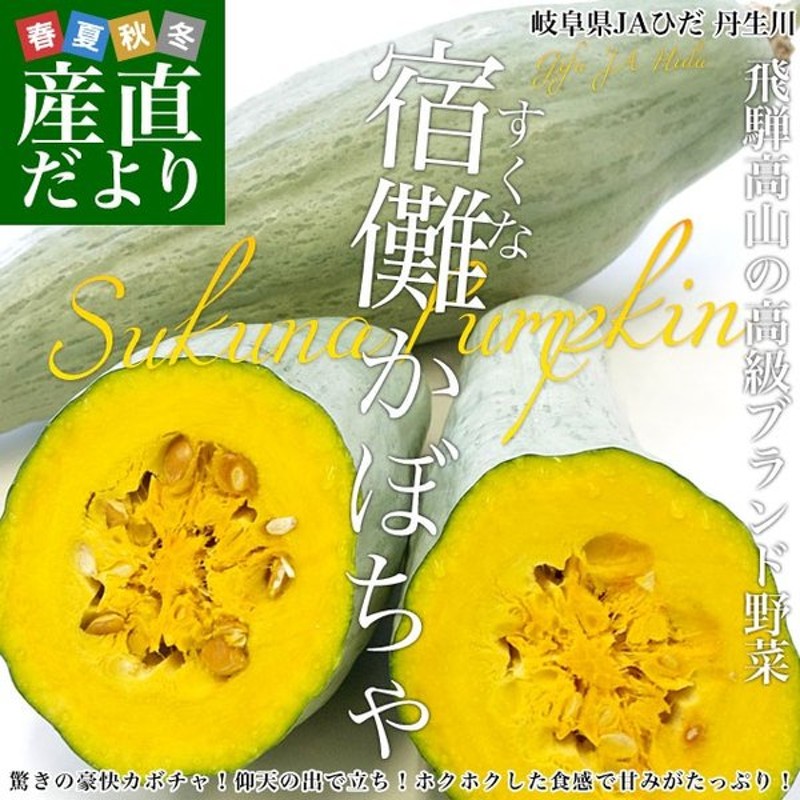 夏野菜 坊っちゃん かぼちゃ ミニかぼちゃ 3個 常温便 安心の定価販売