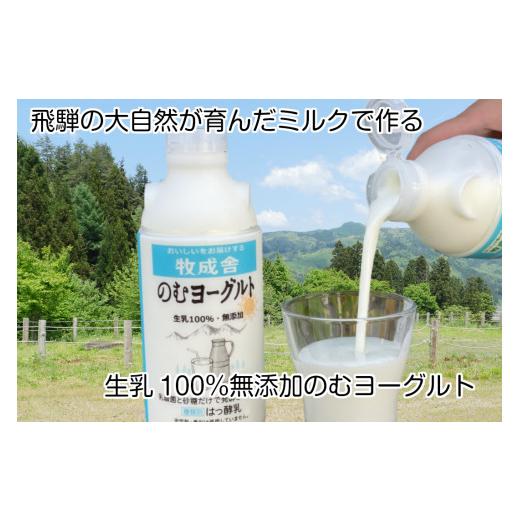 ふるさと納税 岐阜県 飛騨市 《定期便》こだわりヨーグルトセット 6回お届け 牧成舎 のむヨーグルト 生クリームヨーグルト 季の風 15個セット