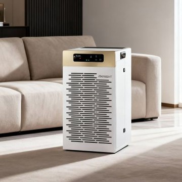 Bosswell博士韋爾 寵粉感謝祭．30坪大空間必備空氣清淨機．AI智能滅菌空氣清淨機(雙電離+UVC LED旗艦款) BS502MT