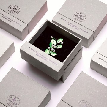【賽先生科學工廠】達爾文的植物標本2.0系列胸針