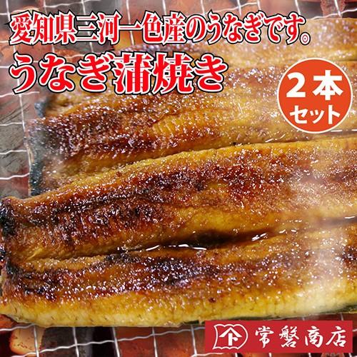 うなぎ蒲焼き ２本セット　鰻