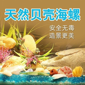 🔥臺灣出貨🔥天然貝殻海螺魚缸龜缸造景水族箱造景裝飾魚寄居蟹工藝品海星