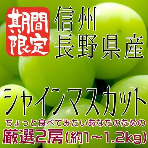 信州 長野県産 約１kg（２房） 種なしぶどう 