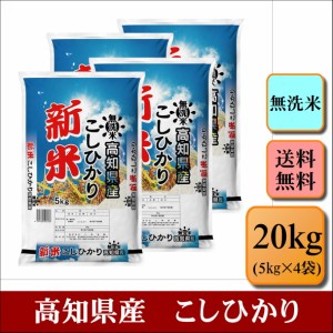 新米　無洗米　令和５年産　高知県産　こしひかり　２0kg(5kg×４袋)　米　お米　おこめ　白米　精米　大容量　まとめ買い　【無＿高知こ