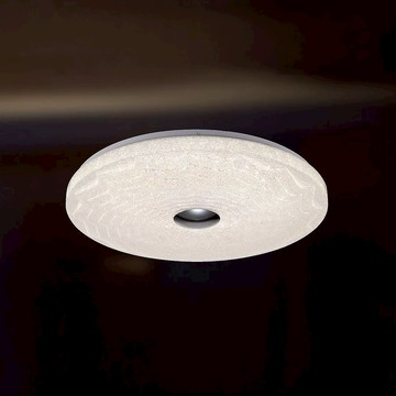 12W 單色吸頂燈 L01-1976B