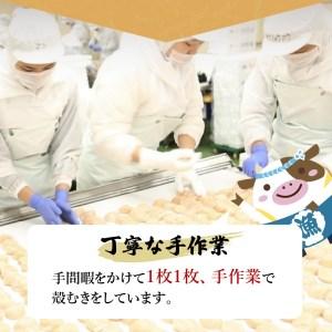 ふるさと納税  3ヶ月 連続 定期 オホーツク 産 ホタテ 大 冷凍 800g×3ヵ月   全3回 （be023-1196-100-3）  （ ほ.. 北海道別海町