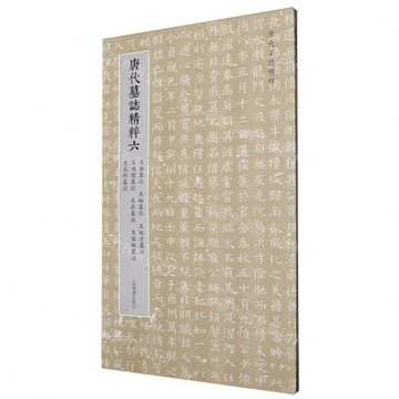 唐代墓誌精粹(6王粲墓誌王裕墓誌王妃子墓誌王鴻儒墓誌王鼎墓誌王懷敏墓誌王文則墓誌)丨天龍圖書簡體字專賣店丨9787547937686 (tl2605)
