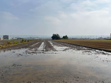 專任龍井忠和方正農地｜台中市龍井區忠和段