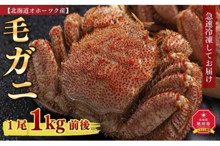 北海道オホーツク産　毛ガニ　1尾　1kg前後