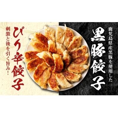 ふるさと納税 京都市 横綱の餃子はニンニク不使用!ぴり辛餃子・黒豚餃子 各5パックセット