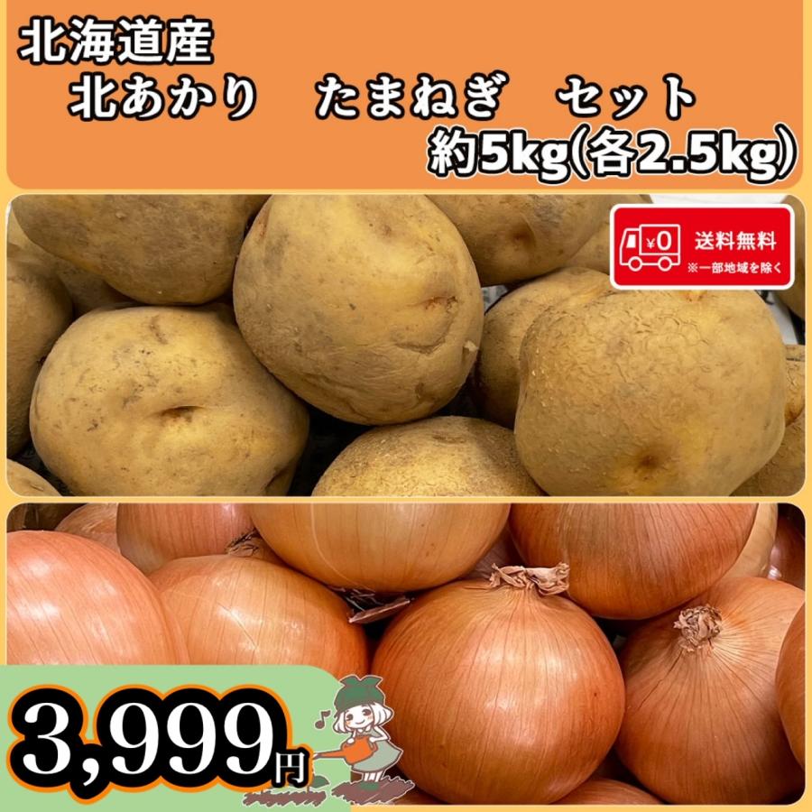 送料無料 常備野菜セット 北海道産 北あかり たまねぎ 5kg(各2.5kg) 北海道の味覚詰め合わせ