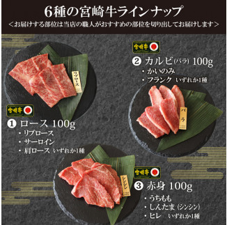 宮崎牛！特選！食べ比べ焼肉6種盛り(合計600g)