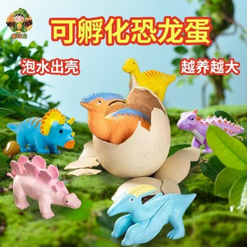 ⭐桃園出貨🔥恐龍蛋孵化泡水抖音同款幼兒園禮物新款兒童玩具3到6歲水寶寶精靈 兒童玩具 益智玩具 生日禮物 玩具
