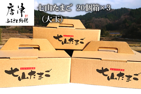 放し飼い！七山たまご 20個箱×3(合計60個) 大玉 玉子 生卵 鶏卵 佐賀県唐津産