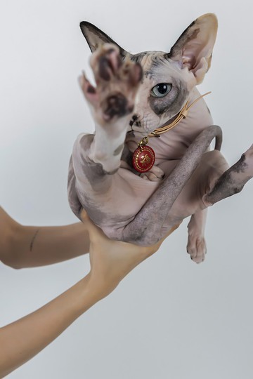 春福財發真皮吊飾 寵物 鑰匙 配件  福字s尺寸