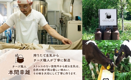 北海道 チーズ2種＆ヨーグルト チーズ ハードチーズ 幸 ラクレット 放牧牛 生乳 ミルク 乳製品 発酵 熟成 国産 おつまみ チーズコンテスト 冷蔵 しあわせチーズ工房 送料無料